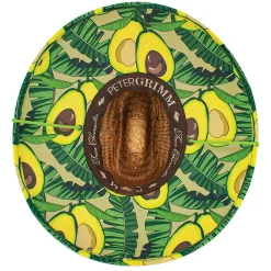 Avocado><noscript><img width=