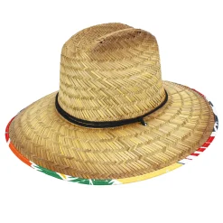 Hawaii><noscript><img width=