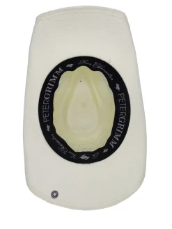 Pommel><noscript><img width=