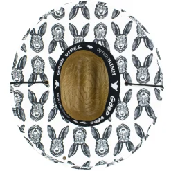 Rabbit><noscript><img width=