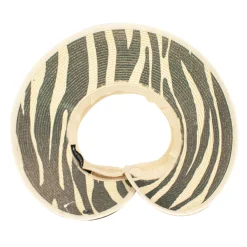 Striped><noscript><img width=
