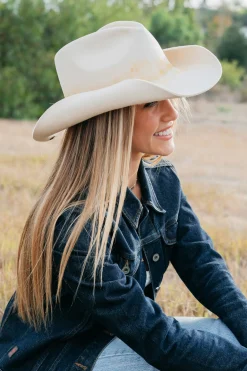 Swift><noscript><img width=